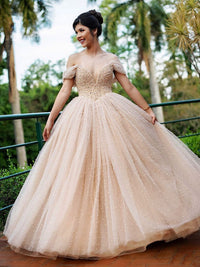 Champagne tulle long prom dress, tulle formal dress